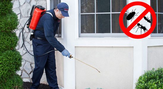 Çamoluk Gümüşkurt İlaçlama böcek ilaçlama ve haşere kontrolü — ilaclama-tr.com
